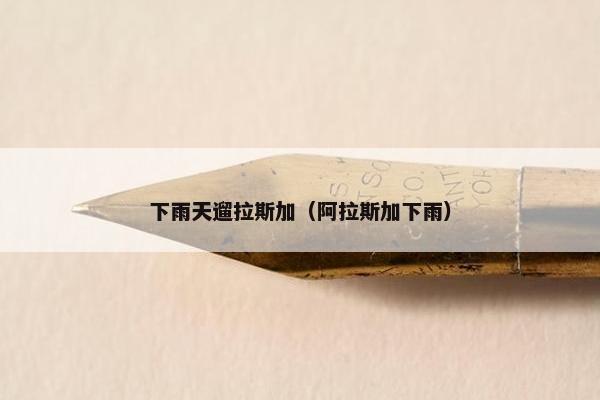 下雨天遛拉斯加（阿拉斯加下雨）