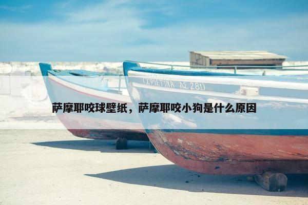 萨摩耶咬球壁纸，萨摩耶咬小狗是什么原因