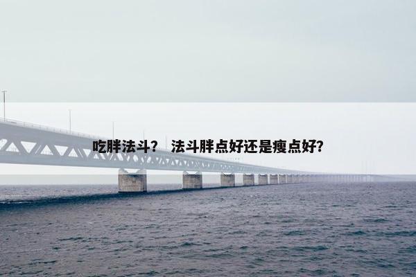 吃胖法斗？ 法斗胖点好还是瘦点好？