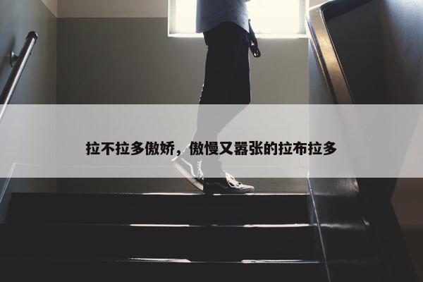 拉不拉多傲娇，傲慢又嚣张的拉布拉多