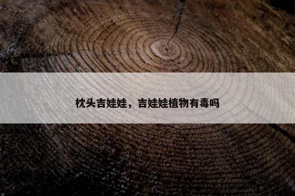 枕头吉娃娃，吉娃娃植物有毒吗