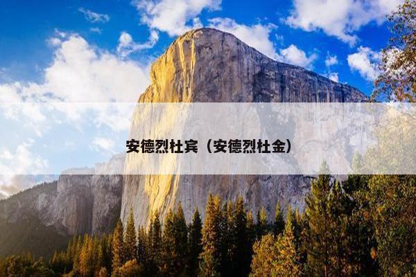 安德烈杜宾（安德烈杜金）