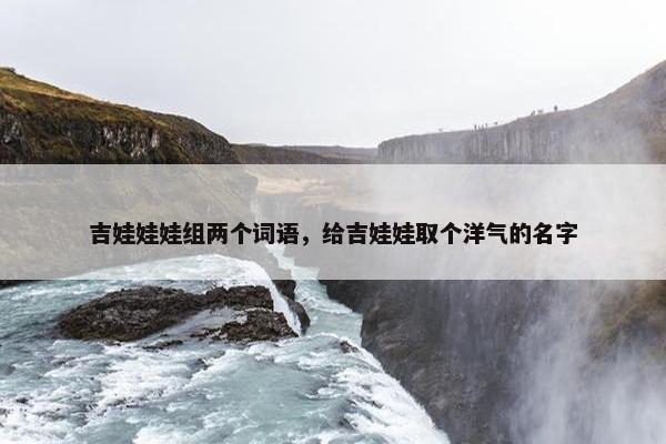 吉娃娃娃组两个词语，给吉娃娃取个洋气的名字