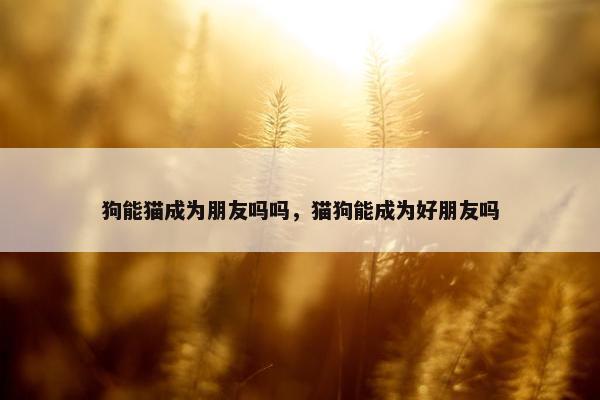 狗能猫成为朋友吗吗，猫狗能成为好朋友吗