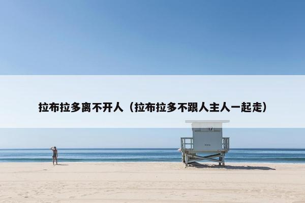 拉布拉多离不开人（拉布拉多不跟人主人一起走）
