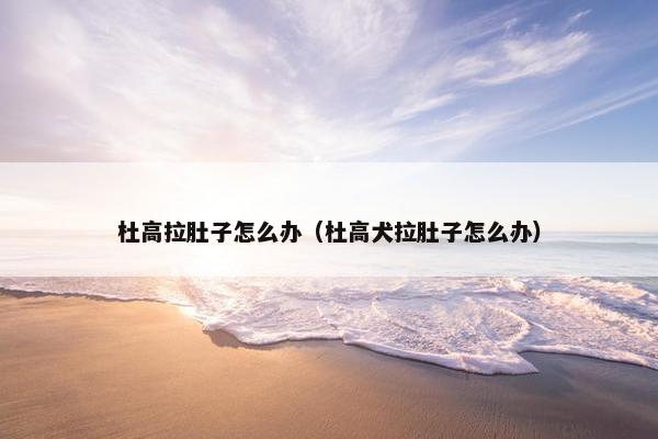 杜高拉肚子怎么办（杜高犬拉肚子怎么办）
