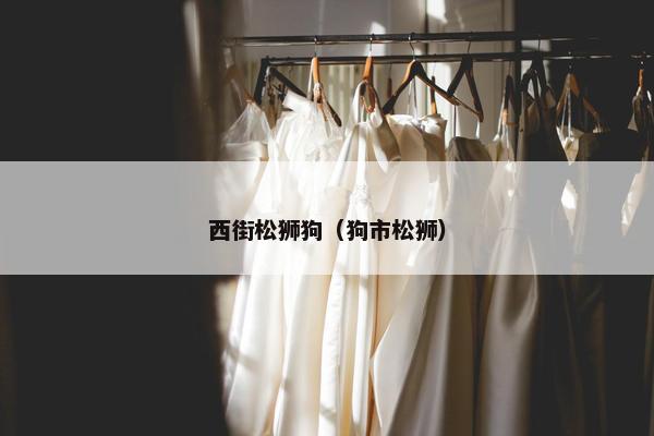 西街松狮狗（狗市松狮）