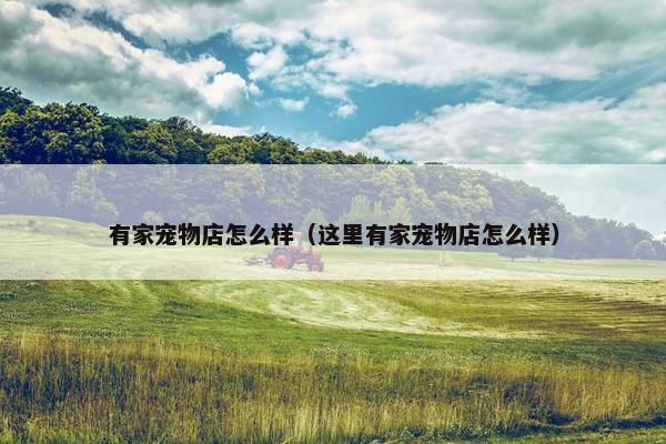 有家宠物店怎么样（这里有家宠物店怎么样）