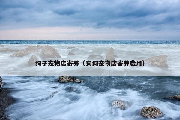 狗子宠物店寄养（狗狗宠物店寄养费用）