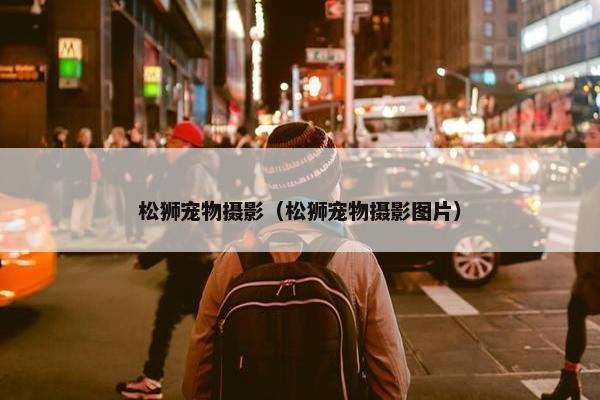 松狮宠物摄影（松狮宠物摄影图片）