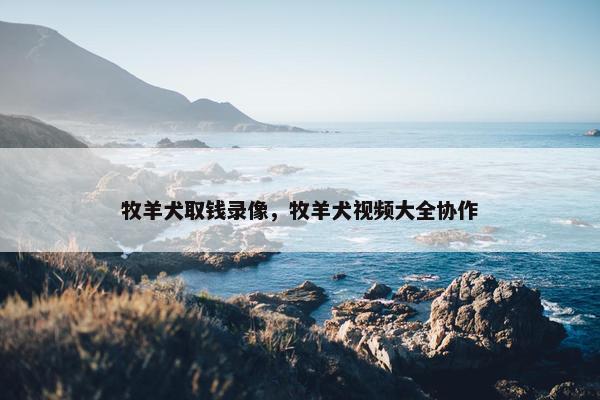 牧羊犬取钱录像，牧羊犬视频大全协作