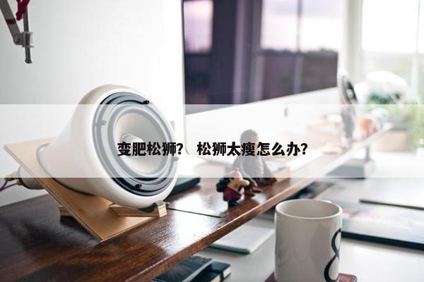 变肥松狮？ 松狮太瘦怎么办？