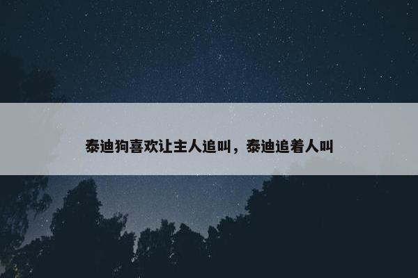 泰迪狗喜欢让主人追叫，泰迪追着人叫