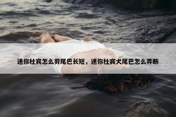 迷你杜宾怎么剪尾巴长短，迷你杜宾犬尾巴怎么弄断