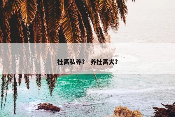 杜高私养？ 养杜高犬？
