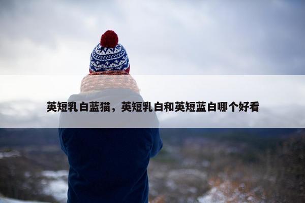 英短乳白蓝猫，英短乳白和英短蓝白哪个好看