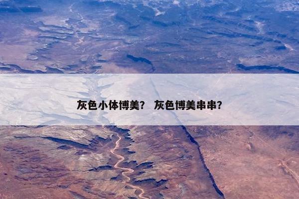 灰色小体博美？ 灰色博美串串？