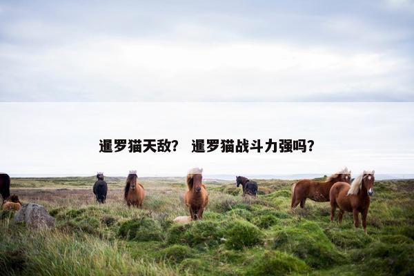 暹罗猫天敌？ 暹罗猫战斗力强吗？