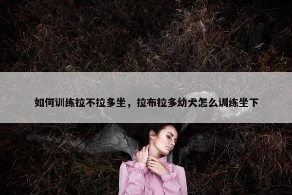 如何训练拉不拉多坐，拉布拉多幼犬怎么训练坐下