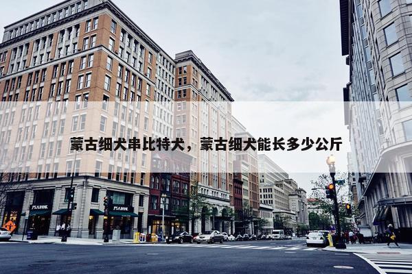 蒙古细犬串比特犬，蒙古细犬能长多少公斤