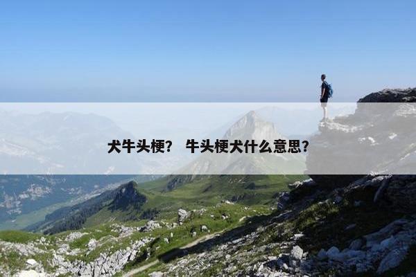 犬牛头梗？ 牛头梗犬什么意思？