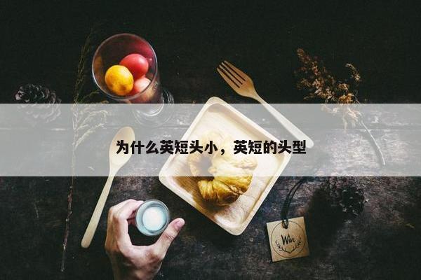为什么英短头小，英短的头型