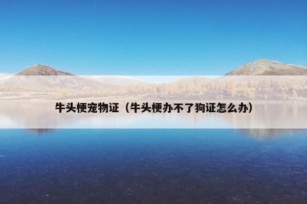 牛头梗宠物证（牛头梗办不了狗证怎么办）