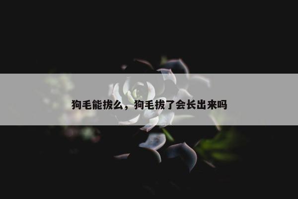 狗毛能拔么，狗毛拔了会长出来吗