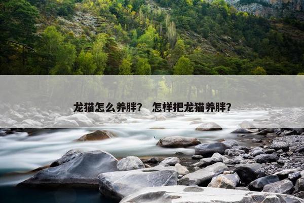龙猫怎么养胖？ 怎样把龙猫养胖？