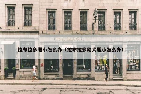 拉布拉多胆小怎么办（拉布拉多幼犬胆小怎么办）