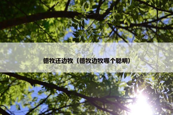 德牧还边牧（德牧边牧哪个聪明）