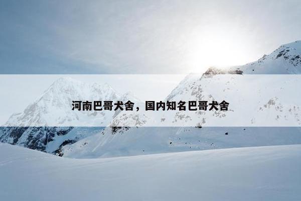 河南巴哥犬舍，国内知名巴哥犬舍