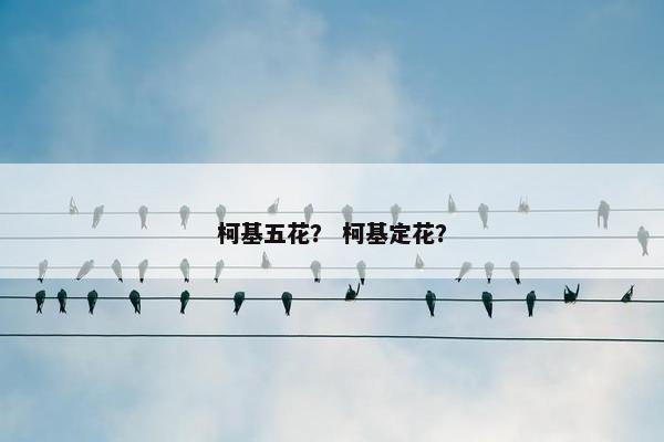 柯基五花？ 柯基定花？