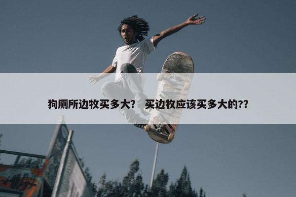 狗厕所边牧买多大？ 买边牧应该买多大的?？