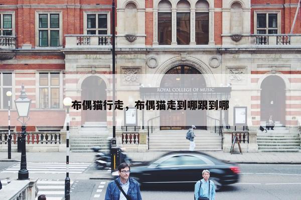 布偶猫行走，布偶猫走到哪跟到哪