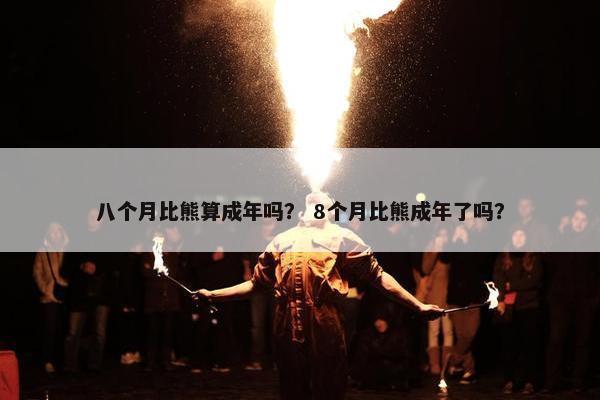 八个月比熊算成年吗？ 8个月比熊成年了吗？