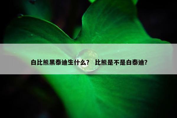 白比熊黑泰迪生什么？ 比熊是不是白泰迪？