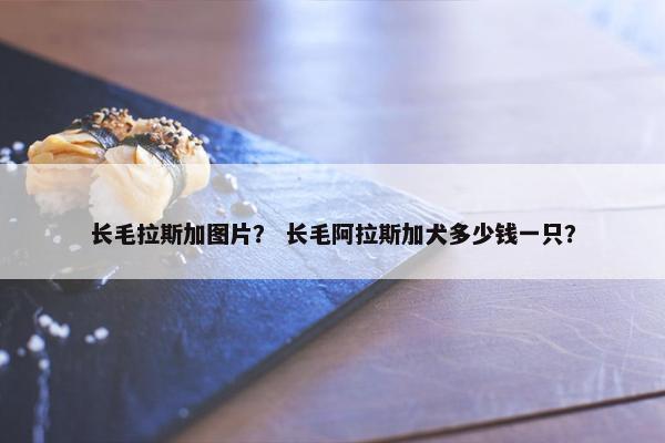 长毛拉斯加图片？ 长毛阿拉斯加犬多少钱一只？