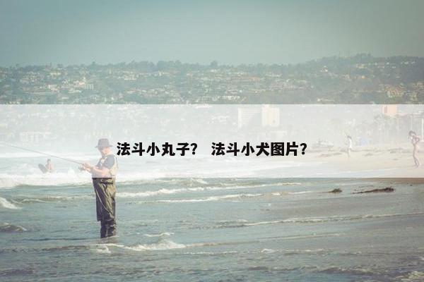 法斗小丸子？ 法斗小犬图片？