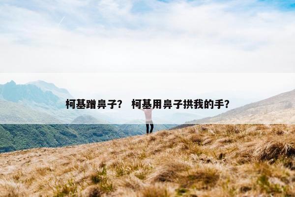 柯基蹭鼻子？ 柯基用鼻子拱我的手？