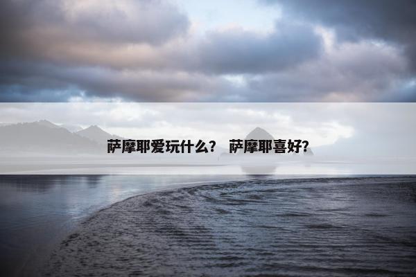 萨摩耶爱玩什么？ 萨摩耶喜好？