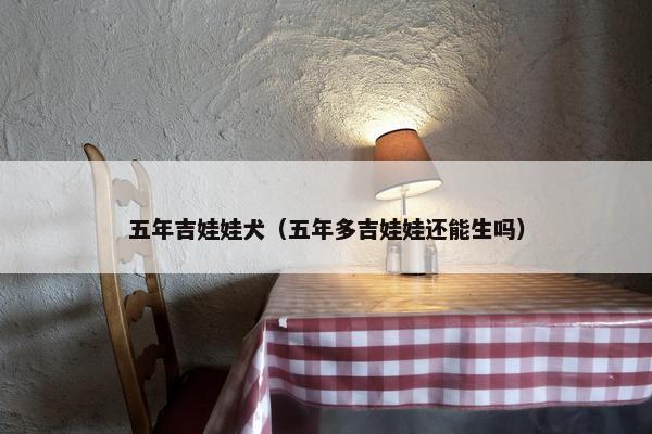 五年吉娃娃犬（五年多吉娃娃还能生吗）