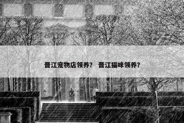 晋江宠物店领养？ 晋江猫咪领养？