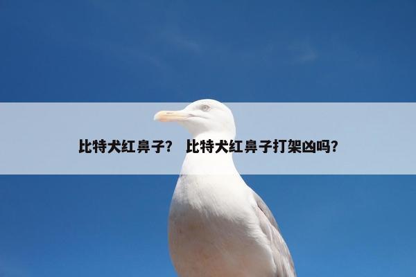 比特犬红鼻子？ 比特犬红鼻子打架凶吗？