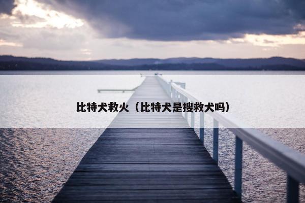 比特犬救火（比特犬是搜救犬吗）