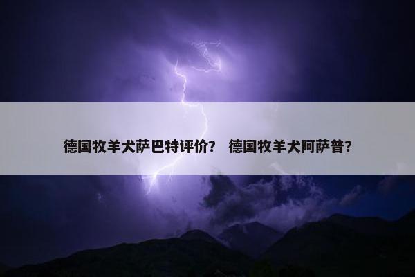 德国牧羊犬萨巴特评价？ 德国牧羊犬阿萨普？
