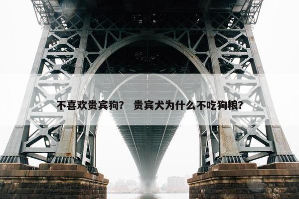 不喜欢贵宾狗？ 贵宾犬为什么不吃狗粮？