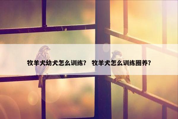 牧羊犬幼犬怎么训练？ 牧羊犬怎么训练圈养？