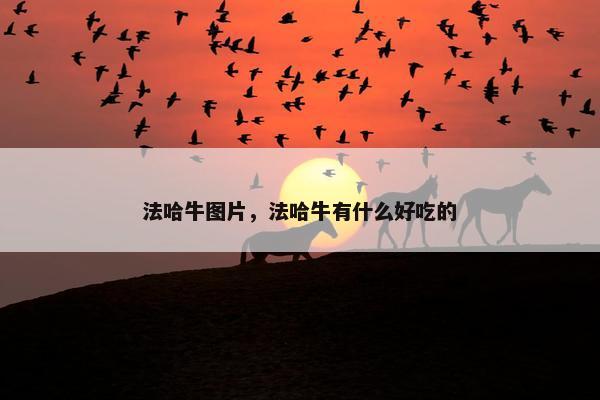 法哈牛图片，法哈牛有什么好吃的