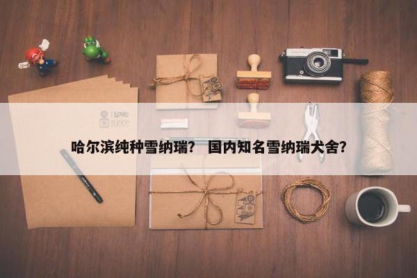 哈尔滨纯种雪纳瑞？ 国内知名雪纳瑞犬舍？